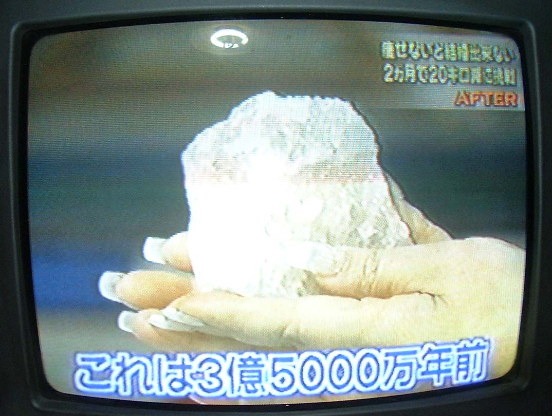 モンゴル岩塩